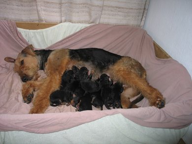 erschöpft aber zufrieden